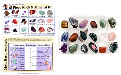 DANCING BEAR 18 Pc Rock and Mineral Educational Collection & Deluxe Collection Box with Description Sheet and Educational Information. Limited Edition, Geology Gem Kit for Kids with Display Case