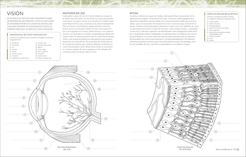 Atlas de anatomía para colorear (The Human Body Coloring Book): Guía de estudio (Spanish Edition)