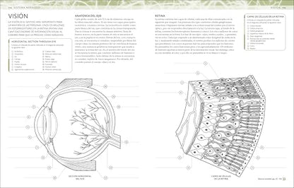Atlas de anatomía para colorear (The Human Body Coloring Book): Guía de estudio (Spanish Edition)