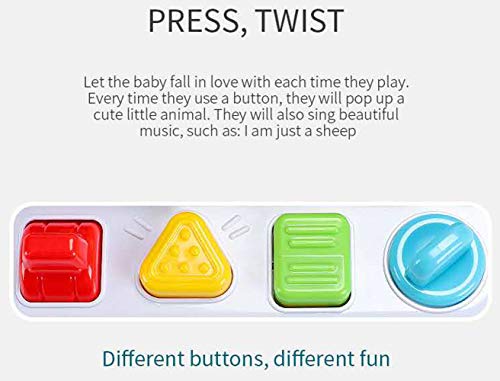 Animal Park Interactive Pop Up Music Toy,Up- Early Education Activity Center Toy, Ages 7 8 9 10 11 12 Months and up Infant Toddlers Toys.