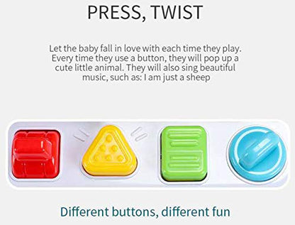 Animal Park Interactive Pop Up Music Toy,Up- Early Education Activity Center Toy, Ages 7 8 9 10 11 12 Months and up Infant Toddlers Toys.