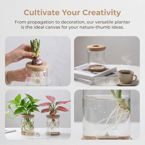 Propagation Stations,Plants Propagation Station Desktop Plant Terrarium Glass Hydroponic Vases, Water Plant Jars, Gardening for Women Mom Plant Lovers,1Pcs