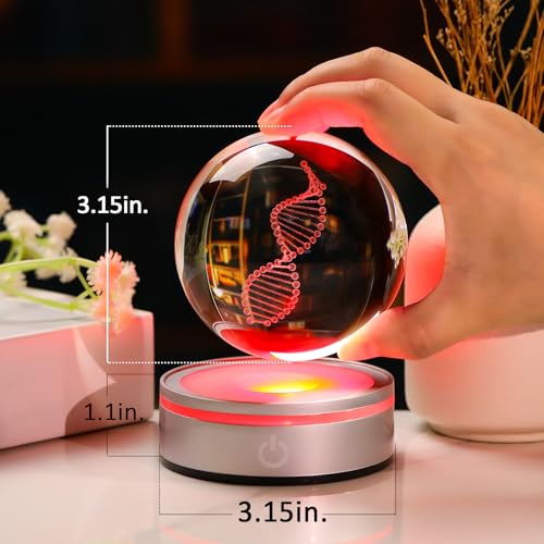 DNA Crystal Ball with LED Base - Unique 3D Laser Engraved Science Decor, Gift for Biology Teachers, Medical Students & Science Lovers, Classroom Lab Decor Night Light - color: Dna
