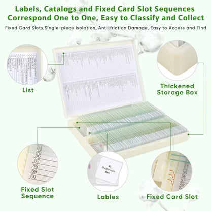 120 Prepared Microscope Slides with Specimens,Glass Slides for Microscope,Prepared Slides Microscope,Microscope Slide Preparation Kit for Biology Science Classes - size: 120 pcs