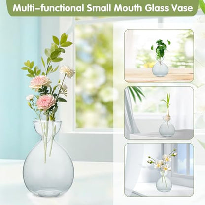 2PCS Small Avocado Grow Vase Glass Acorn Seed Starter Vase Pot for Growing - size: 2PCS Plain 3.74*3.74*5.11inch