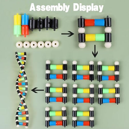 iplusmile DNA Double Helix Structure Models Kit Biological Science Popularization Teaching Aid for DNA Assembling, Educational Learning for School Student