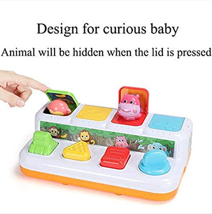 Animal Park Interactive Pop Up Music Toy,Up- Early Education Activity Center Toy, Ages 7 8 9 10 11 12 Months and up Infant Toddlers Toys.