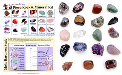 DANCING BEAR 18 Pc Rock and Mineral Educational Collection & Deluxe Collection Box with Description Sheet and Educational Information. Limited Edition, Geology Gem Kit for Kids with Display Case
