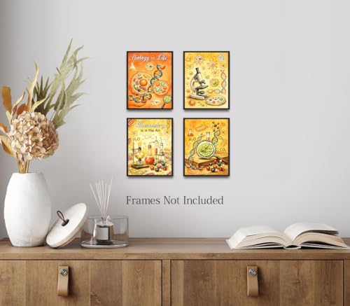 ZOIYINO Science Classroom Posters Set of 4,Educational Wall Art - color: Science Classroom Posters Set of 4