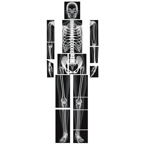 Lineshading 16 Pieces Human x Rays Bones Pretend x Rays for Kids Human Bones Body Educational Science Kit Display Play Table(Black and White) - color: Black and White