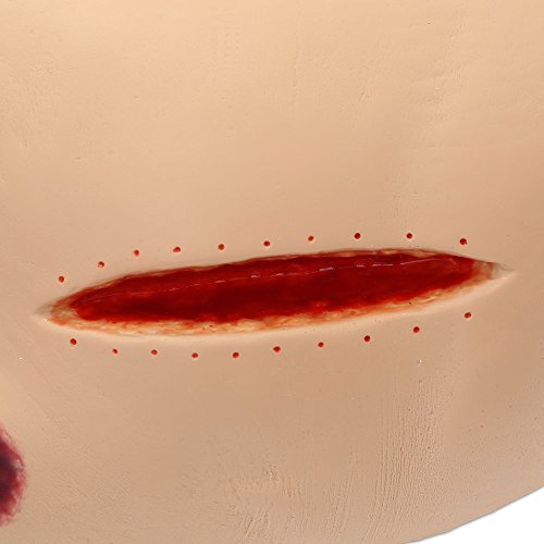 VATA Seymour II Wound Care Model