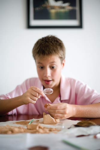4M Kidzlabs Crystal Mining Kit, DIY Science Kit - Dig for gem Stones, For Boys & Girls Ages 5+ - style: Crystal Mining Kit