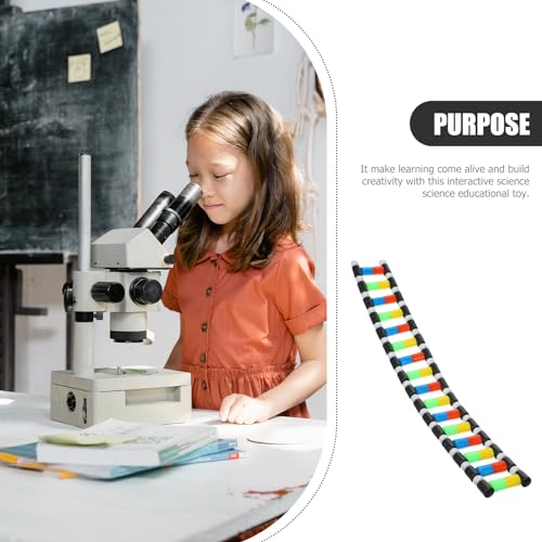 iplusmile DNA Model Kit, Double Helix Structure DNA Models, Biological Science Popularization Teaching Tool for Students, Early Education Toys for DNA Assembling Display (Pack of 2) - size: 40X5.7CM (Pack of 2)