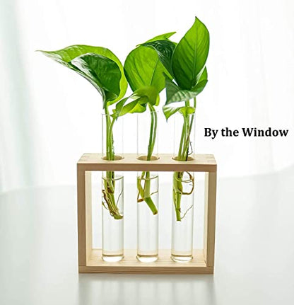Kingbuy 3 Pack Glass Test Tube Propagation Vase Hydroponic Cuttings Planter - size: 3 Pack