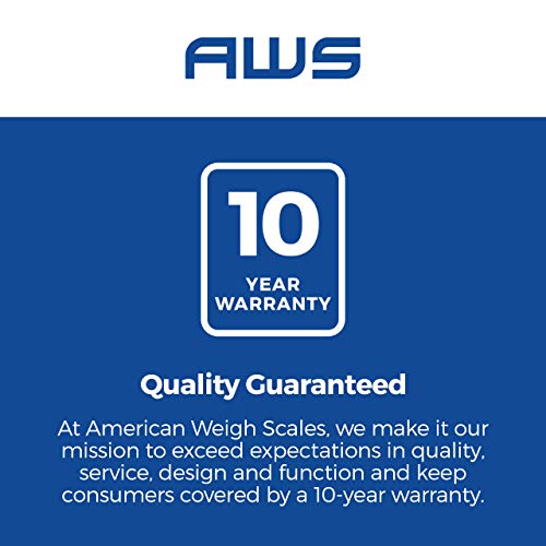 American Weigh Scales Blade Series Digital Precision Pocket Weight Scale, Gray, 650 X 0.1G (BL-650-GRY) (Silver, 1KG) - color: Chrome Silver, size: 1000g x 0.1g