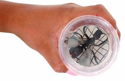 Toysmith Magnifying Bug Viewer