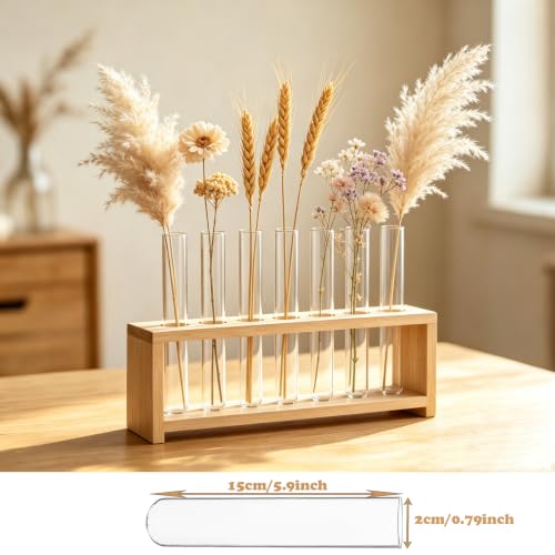 10 Pcs Glass Test Tubes for Plants, 6 Inch Plant Propagation Tubes Clear Propagation Vases, Hydroponic Planter for Home Office Desktop Decoration (no Lip on the top)