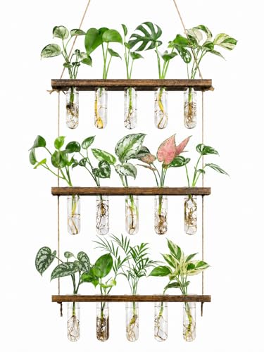 3 Tier Wall Hanging Propagation Stations with 15 Glass Test Tubes, Plant Terrarium Propagation Tubes Planter for Hydroponic Cuttings, Window Decor Gift for Plant Lovers