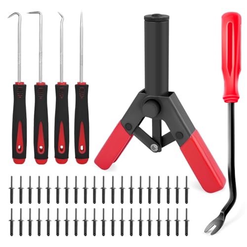 GOOACC 46Pcs Plastic Poly Rivet Gun Set Pop Rivet Assortment Set 40Pcs Assorted Poly Rivets with Fastener Remover Pick and Hook Set for Installing and Removing Car Door Panel and Upholstery Clips - color: 40Pcs Rivet Set + 6 Remover
