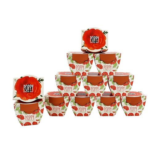 BUZZY Seeds Poppy Grow Kit 12-Pack, Mini Terracotta Pots, Indoor/Outdoor - color: 12pk Poppy