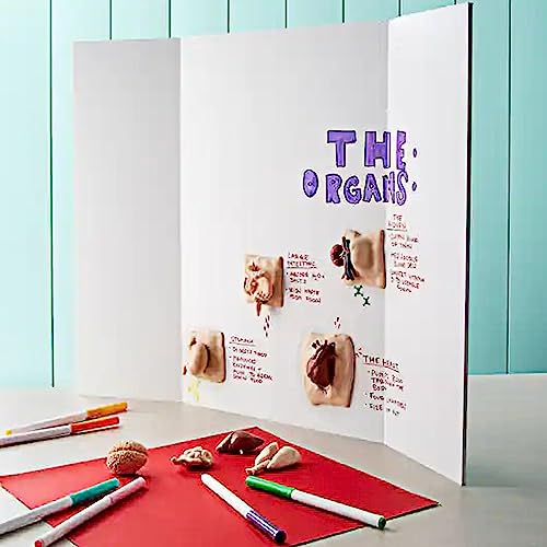 Rsgift Trifold Poster Board 48x36 Inch 4 Pack Corrugated Presentation Board - size: 48x36 inches