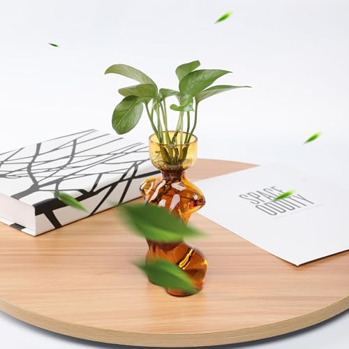 Plant Propagation Jars Unique Body Avocado Vase - color: Amber