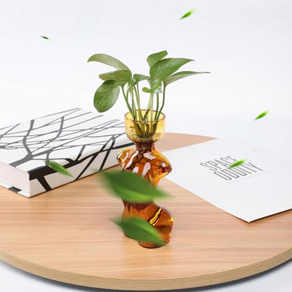 Plant Propagation Jars Unique Body Avocado Vase - color: Amber