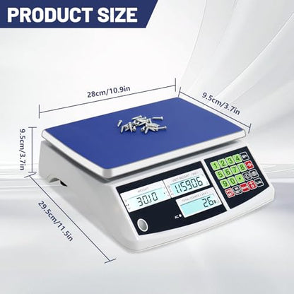 Industrial Counting Scale, g/kg/lb, Coin Scale, Precision Electronic Gram Scale for Parts and Coins,Digital Inventory Scale with Alarm Mode (30kg/66lb, 0.1g) - size: 30kg