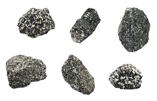 EISCO 6PK Raw Diorite, Igneous Rock Specimens - Approx. 1" - Geologist Selected & Hand Processed - Great for Science Classrooms - Class Pack