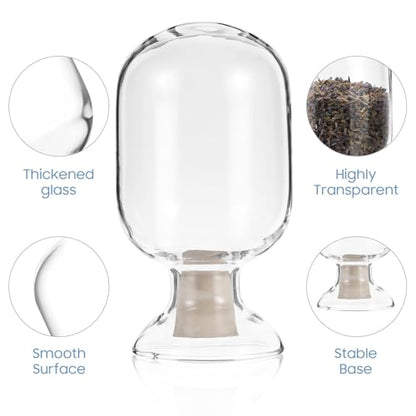 Beavorty Glass Match Cloche Jar: Fireplace Match Cloche Bottle Fancy Matches Striker Holder Jar Christmas Match Holder with Stopper for Candles Bathroom Lab Matches 250ml (Pack of 2) - size: 13X7X7CM (Pack of 2)