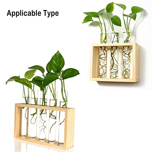 Kingbuy 3 Pack Glass Test Tube Propagation Vase Hydroponic Cuttings Planter - size: 3 Pack