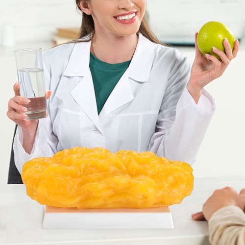 SimCoach 5 lb Human Body Fat Model Replica