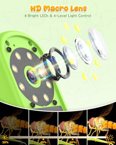 Bug Catcher for Kids,Kids Microscope,3-in-1 Insect Catching Kit for Kid - color: Green