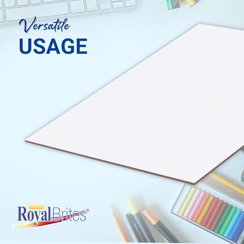 Royal Brites Illustration Boards - Heavyweight 2-Sided White - 20 in x 30 in, 9 Count