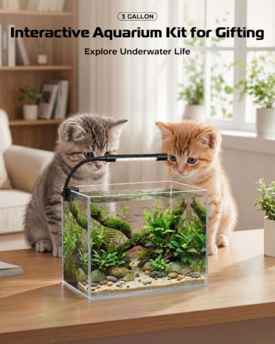 Glass Fish Tank Kit, 3 Gallon Betta Nano Fish Tank Aquarium Starter Kit - color: Transparent, size: 3 Gallon