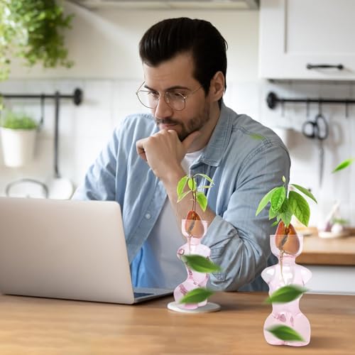 Plant Propagation Jars Unique Body Avocado Vase - color: Pink