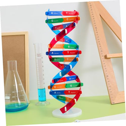 Kisangel DNA Kit Self Double Helix Model Kit Assembling DNA Display Stand Human Genes Learning Toy Biological Teaching Aid Science Molecular Model Kit