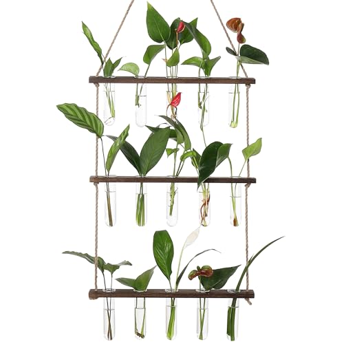 YIBOT Plant Propagation Stations with Wooden Stand 15 Glass Test Tubes Vase - color: Brown, size: 14"L x 14"W x 35"H