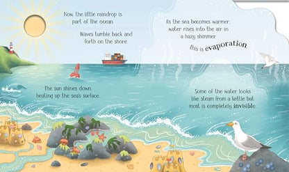 One Little Raindrop: A Science Book for Little Children That Explores The Water Cycle Through Interactive Holes on Pages (Life Cycles)