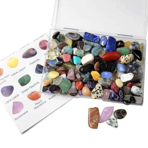 60Kinds+ Gemstones and Crystals Set,Bulk Tumbled Chips Crystals for Jewelry Making,Crushed Stones Rocks and Minerals Science Kit (0.55lb(60-65types))