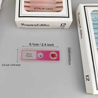 48pcs Plastic Prepared Microscope Slides of Animals Insects Plants Flowers Sample Specimens for Microscopes