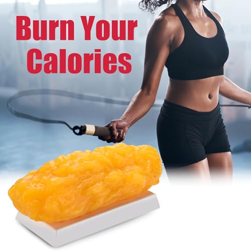 SimCoach 5 lb Human Body Fat Model Replica