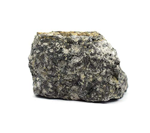 EISCO 6PK Raw Andesite, Igneous Rock Specimens - Approx. 1" - Geologist Selected & Hand Processed - Great for Science Classrooms - Class Pack