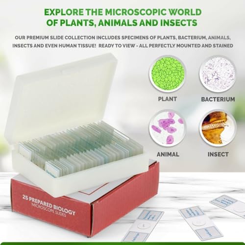 AmScope PS25P Prepared Microscope Slides, Plastic Case, 25pc - color: White
