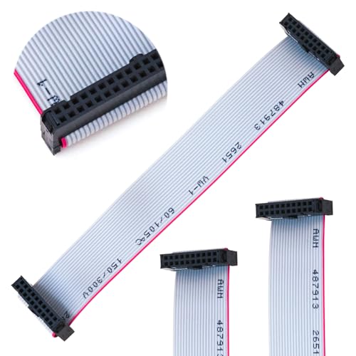 2.54mm Flat Ribbon IDC Cable Female to Female, Flat Ribbon Cable Connector 20P FC 20-Pin 30cm Length 2Pcs (TC-30cm-FF20P-2) - color: Female to Female, size: 20P