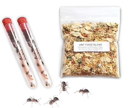 50 Live Ants for Ant Farms (2 Tubes) with Ant Food Premium Custom Mix - style: 50 Live Ants+Food