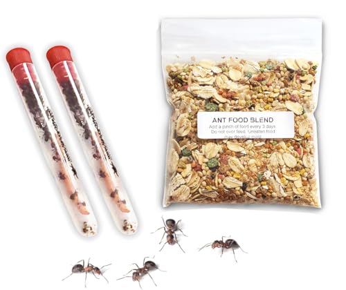 50 Live Ants for Ant Farms (2 Tubes) with Ant Food Premium Custom Mix - style: 50 Live Ants+Food