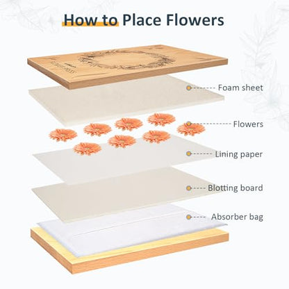wisedry Flower Press Kit, Easy One-Step Pressing, Even Pressure, 6 Layers, 10 x 6 inch Flower Press Kit for Kids and Adults, Great Gifts for Anyone Who Loves Flowers and Crafts, Gift Box & User Guide