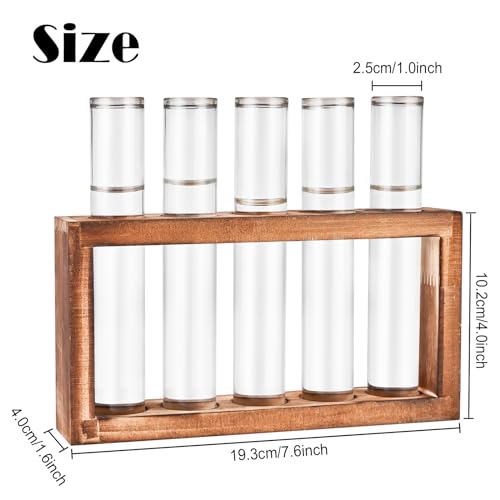 Tigvio Desktop Glass Plant Propagation Station (5 Tubes) - size: 5 Tubes