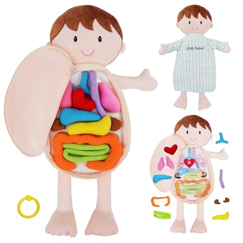 June Garden 18" Lucas Plush Anatomy Doll with Removable Organs - color: Little Patient Lucas